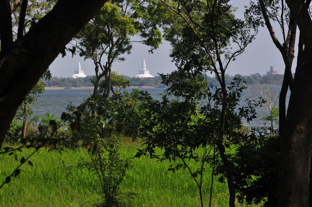 Waters Edge, Anuradhapura Villa Kültér fotó