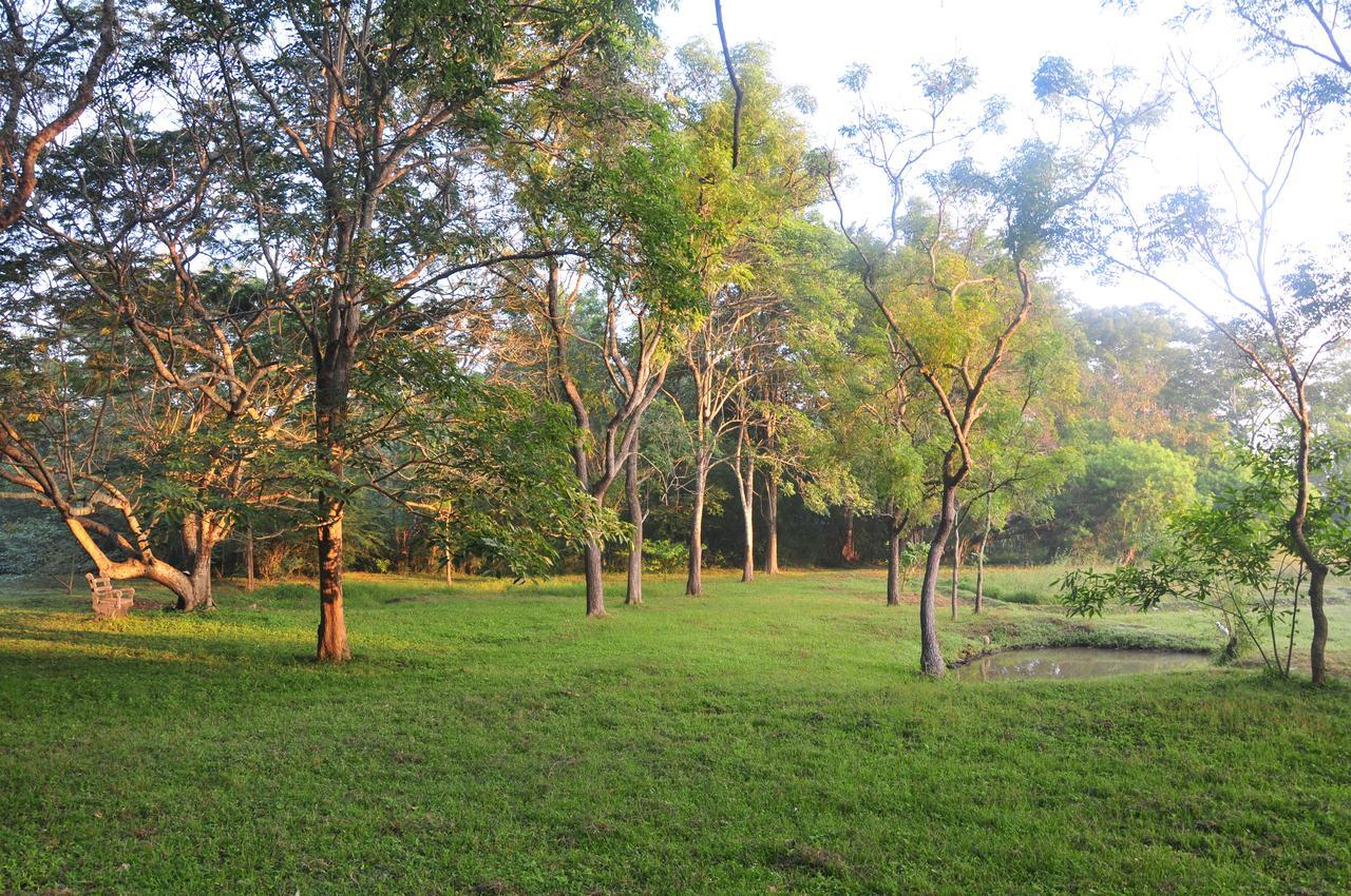 Waters Edge, Anuradhapura Villa Kültér fotó