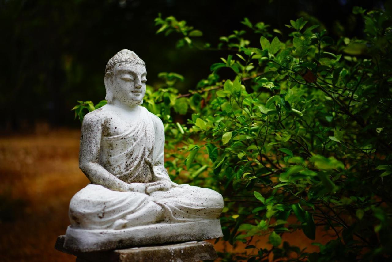 Waters Edge, Anuradhapura Villa Kültér fotó