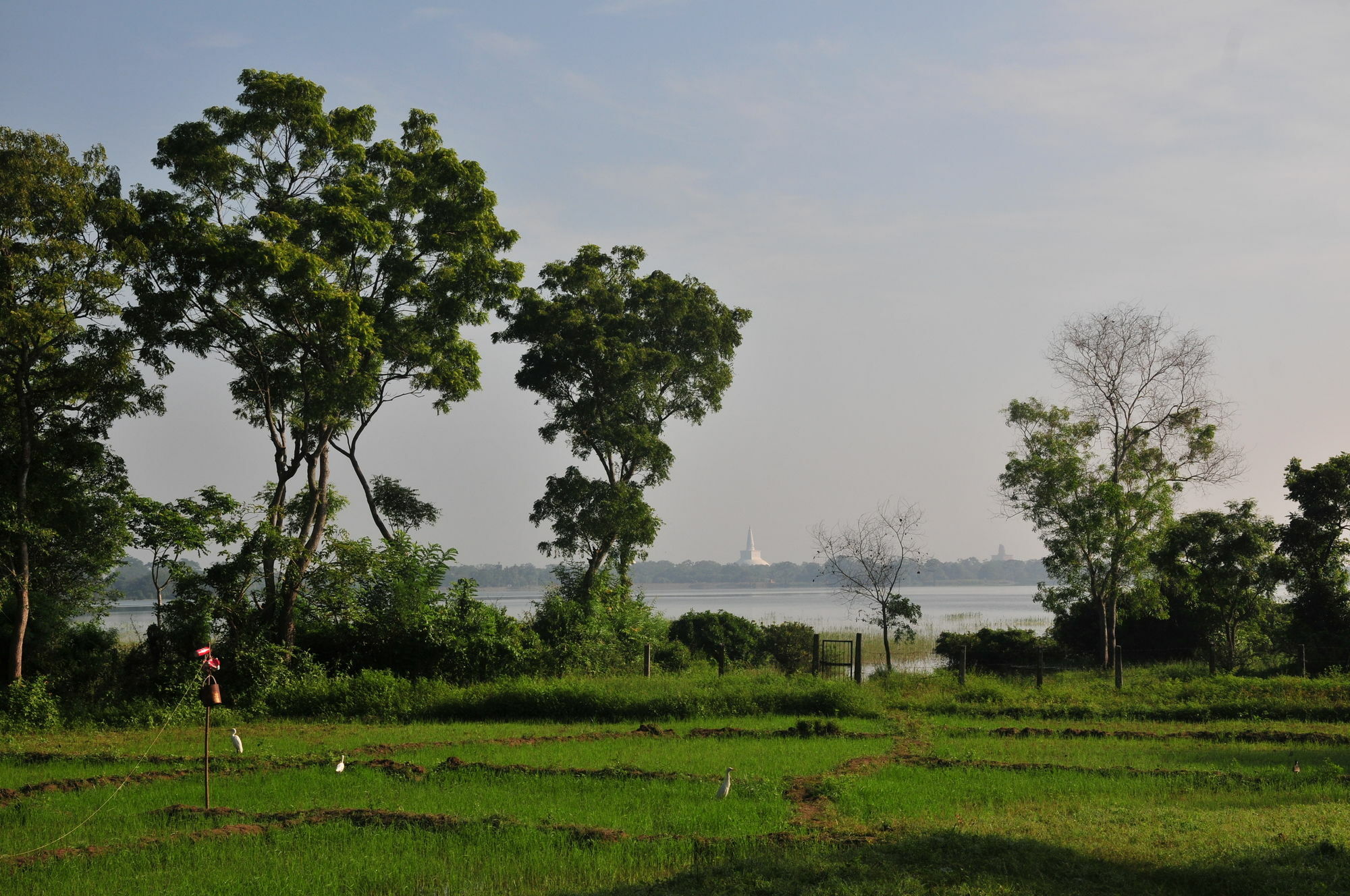 Waters Edge, Anuradhapura Villa Kültér fotó