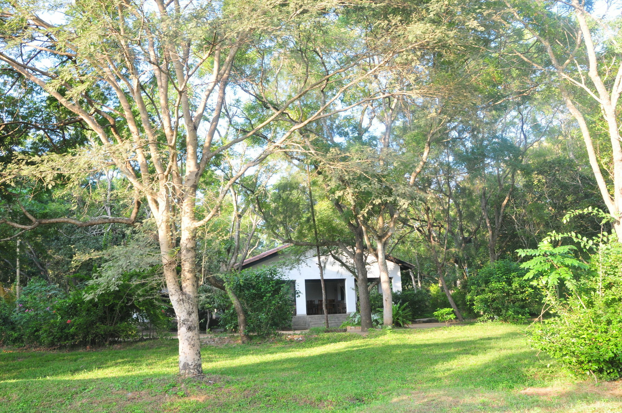 Waters Edge, Anuradhapura Villa Kültér fotó